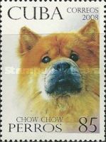 Chow-Chow (Canis lupus familiaris)