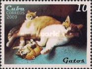 Domestic Cat (Felis silvestris catus)