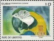 Blue-and-yellow Macaw (Ara ararauna)
