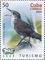 Zapata Wren (Ferminia cerverai)
