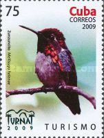 Bee Hummingbird (Mellisuga helenae)