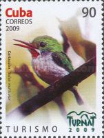 Cuba Tody (Todus multicolor)