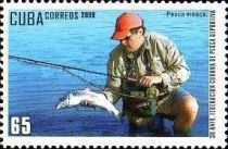 Fly fishing