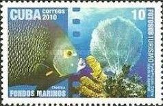 French Angelfish (Pomacanthus paru), Coral