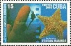 Dead Man's Finger & Sea star
