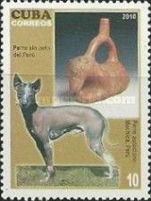 Peruvian Inca Orchid Dog (Canis lupus familiaris). Jug of Mo