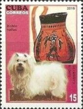 Maltese Dog (Canis lupus familiaris), Ancient Greek Jug