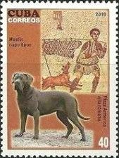 Mastino Napoletano (Canis lupus familiaris), Roman Mosaic 
