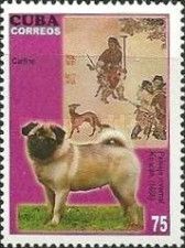Pug (Canis lupus familiaris), Winter Landscape by Kun Can