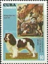 Cavalier-King-Charles-Spaniel (Canis lupus familiaris),