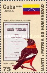 Venezuelan Troupial (Icterus icterus)