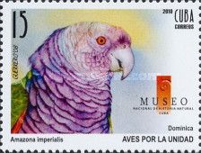 Imperial Amazone (Amazona imperialis)