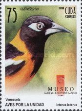 Venezuelan Troupial (Icterus icterus)