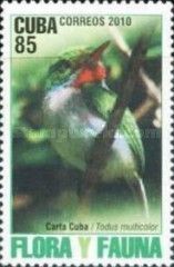 Cuban Tody (Todus multicolor)