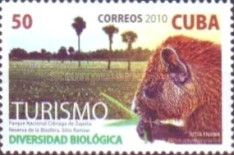 National Park Ciénaga de Zapata, Dwarf Hutia