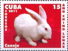 Domestic Rabbit (Oryctolagus cuniculus domesticus)