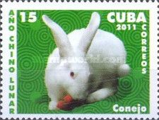 Domestic Rabbit (Oryctolagus cuniculus domesticus)
