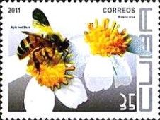 Western Honey Bee (Apis mellifera), Spanish Needles (Bidens
