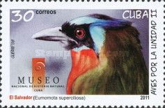 "Eumomota superciliosa" (see Description)