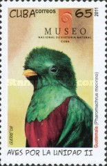Resplendent Quetzal (Pharomachrus mocinno)