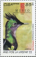 Antillean Crested Hummingbird (Orthorhyncus cristatus)