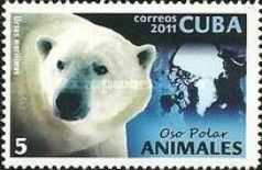 Polar Bear (Ursus maritimus)