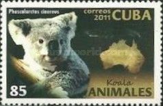 Koala (Phascolarctos cinereus)