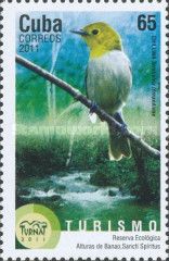 Yellow-headed Warbler (Teretistris fernandinae)