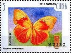 Red-splashed Sulphur (Phoebis avellaneda)