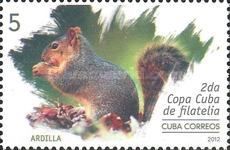 Ardilla (squirrel)
