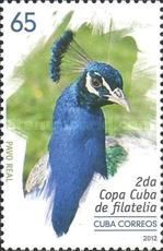 Pavo real (peacock)