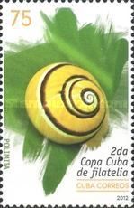 Polimita (snail)