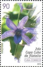 Orquídea (orchid)