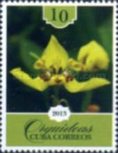 Yellow-green orchid