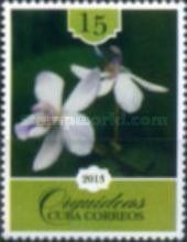 White orchid with mauve lip