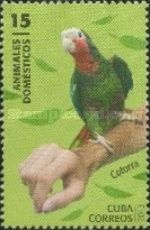Parrot