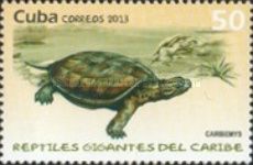 Caribemys