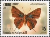 Allosmaitia coelebs