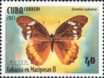 Salvin's Anetia (Anetia cubana)