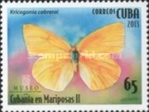 Kricogonia cabrerai