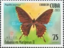 Cuban Black Swallowtail (Papilio oxynius)