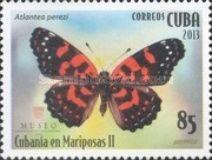 Cuban Checkerspot (Atlantea perezi)