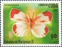 Eurema lucina