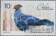 Siamese Fireback (Lophura diardi)
