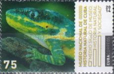 Anolis (Dactyloidae)