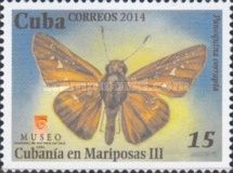 Corrupt Skipper (Panoquina corrupta)