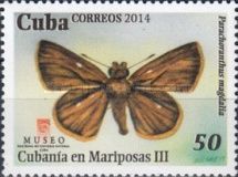 Magdalia Skipper (Parachoranthus magdalia)