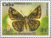 Munroe's Sicklewing (Eantis munroei)