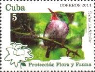 Cuban Tody (Todus multicolor)