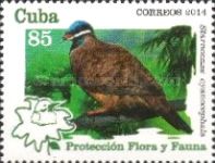 Blue-headed Quail-dove (Starnoenas cyanocephala)